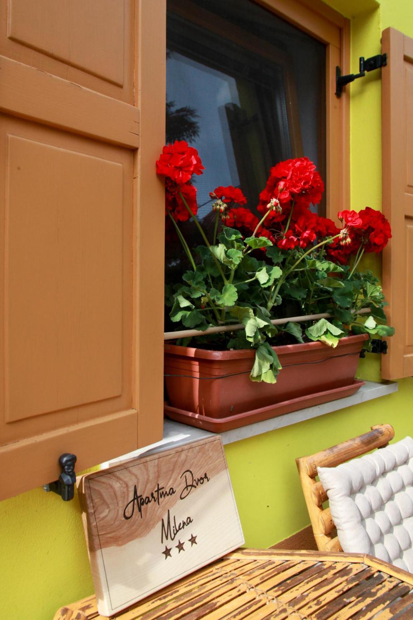 Apartma Dvor Milena * Bovec